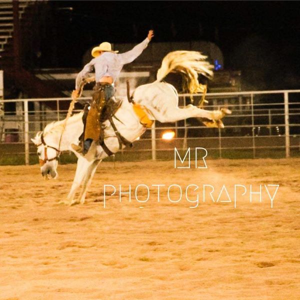 picture of rodeo events