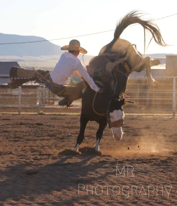 picture of rodeo events