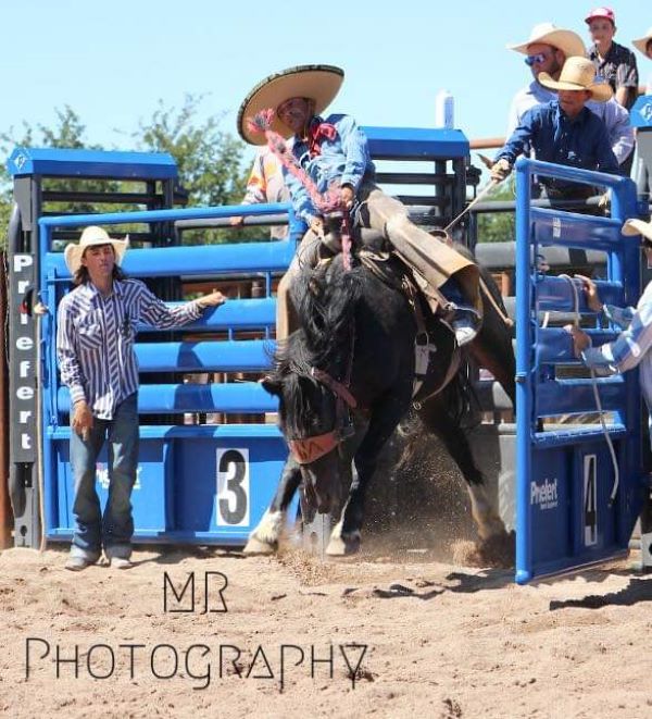picture of rodeo events