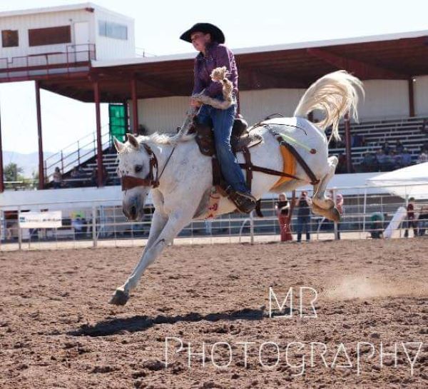 picture of rodeo events
