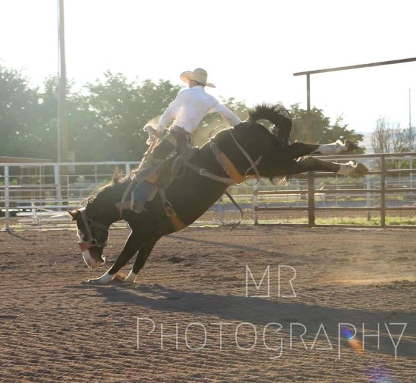 picture of rodeo events