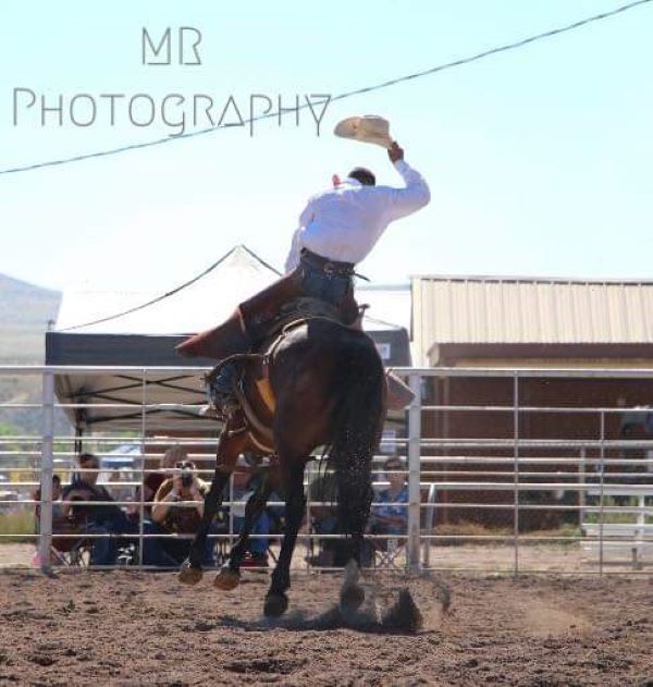 picture of rodeo events
