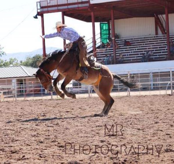 picture of rodeo events