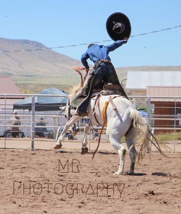 picture of rodeo events