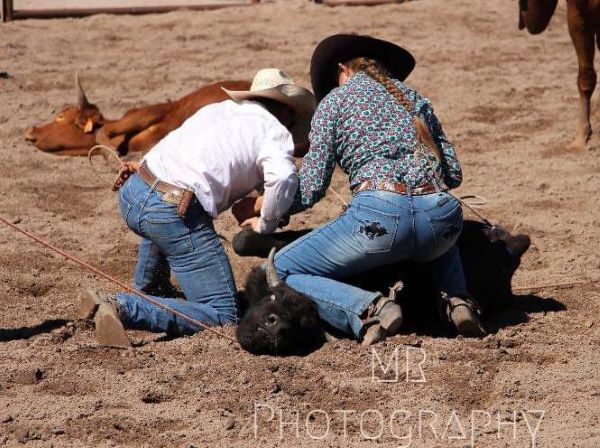 picture of rodeo events