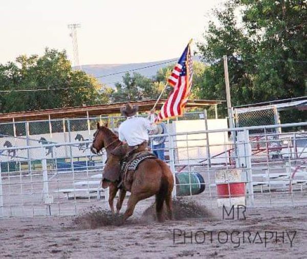 picture of rodeo events