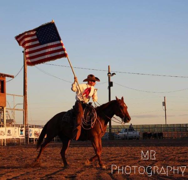 picture of rodeo events