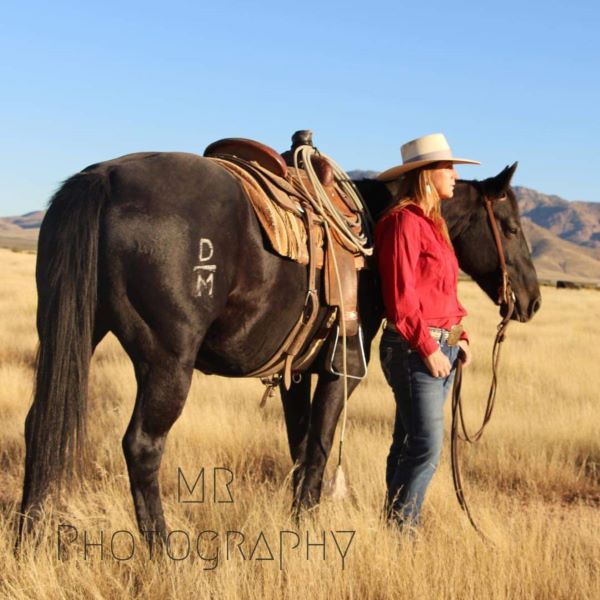 picture of rodeo events
