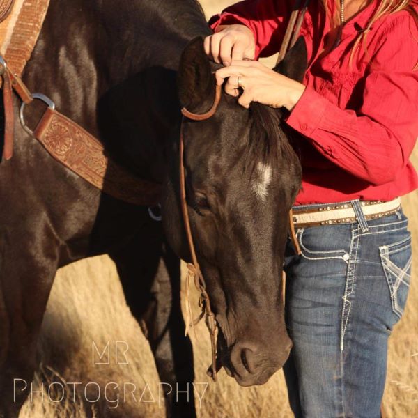 picture of rodeo events