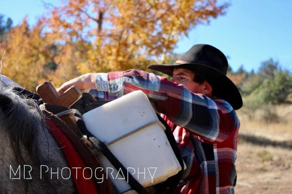 picture of rodeo events
